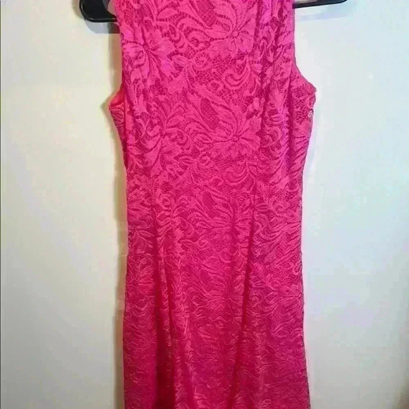 NWT JM Collection sz PS lace Pink Sleeveless A-Line Dress Knee-Length - Picture 5 of 6